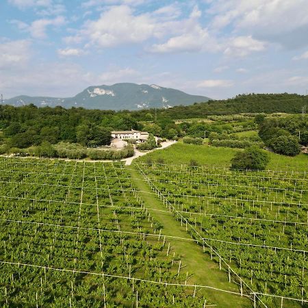 Serene Holiday And Wine Farm 아피 외부 사진
