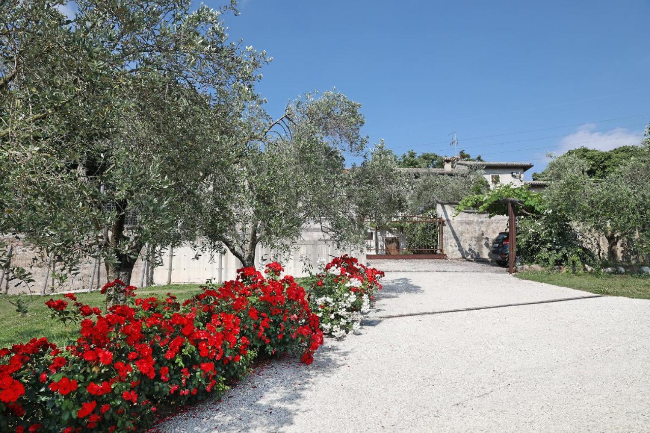 Serene Holiday And Wine Farm 아피 외부 사진