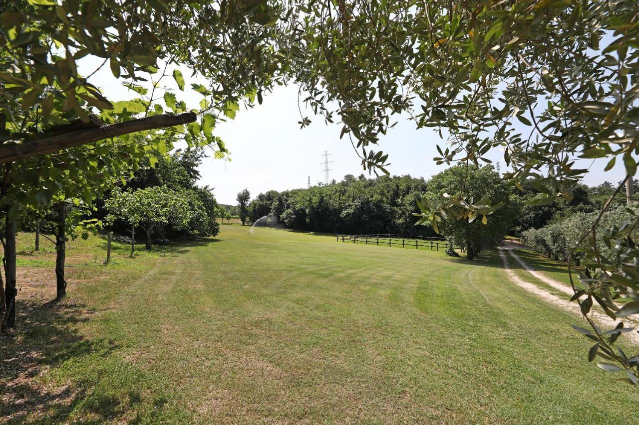 Serene Holiday And Wine Farm 아피 외부 사진