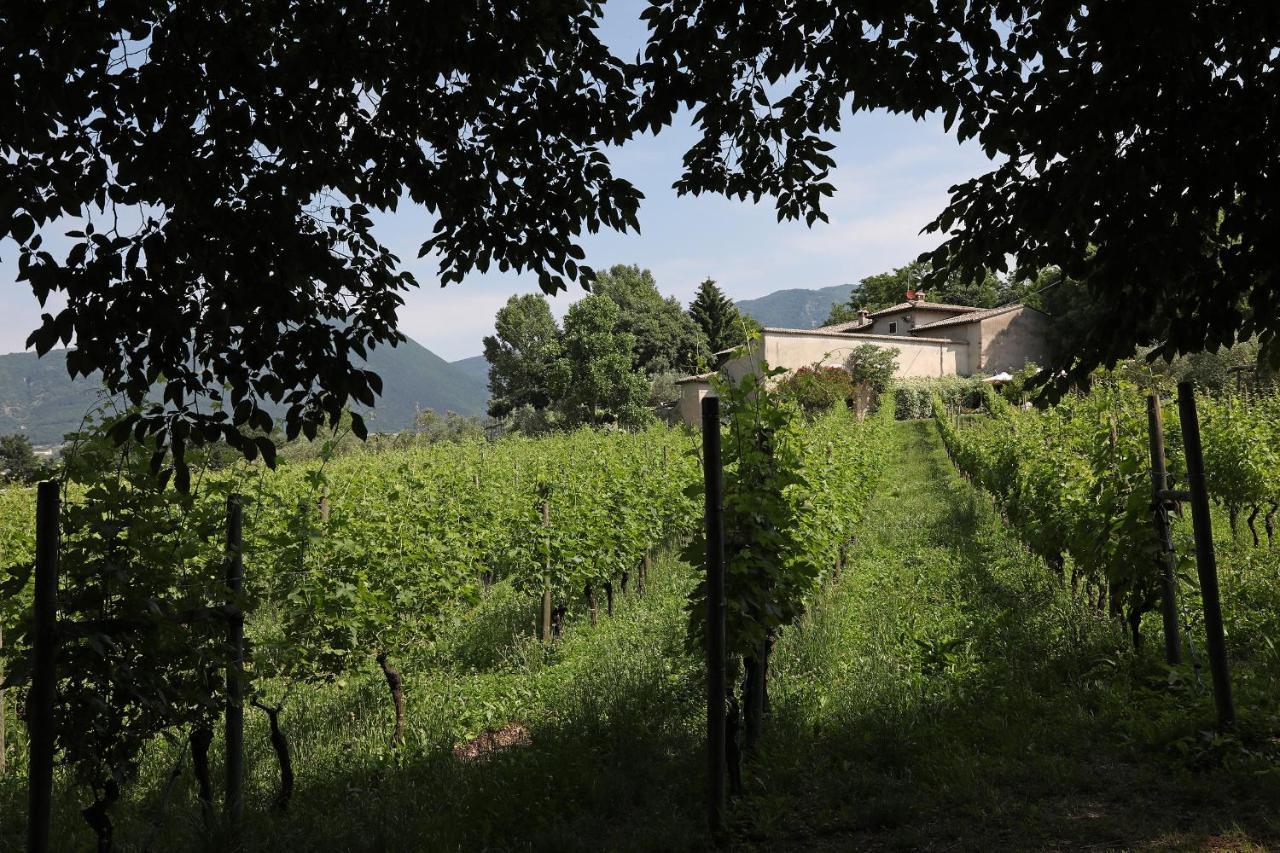 Serene Holiday And Wine Farm 아피 외부 사진