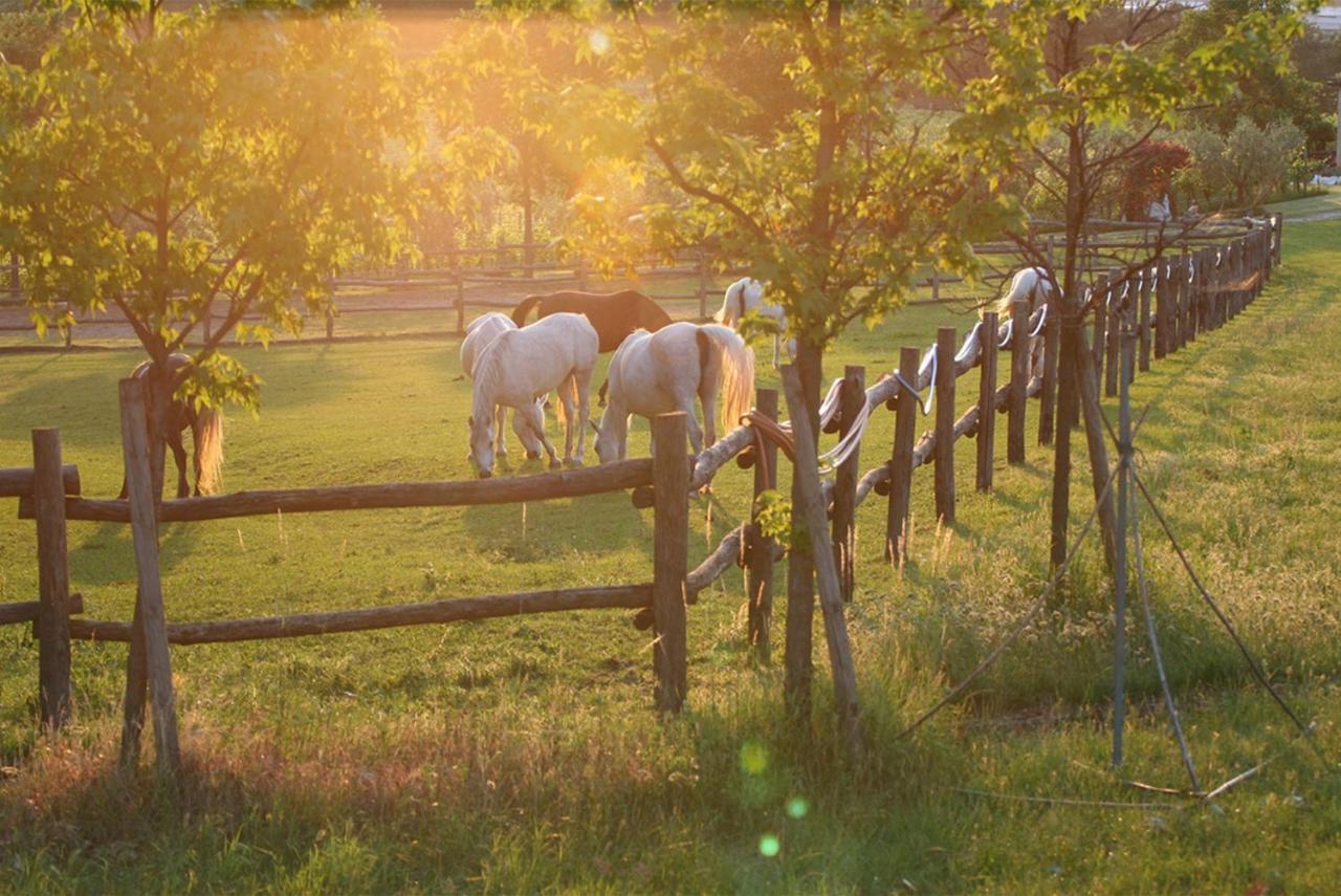 Serene Holiday And Wine Farm 아피 외부 사진