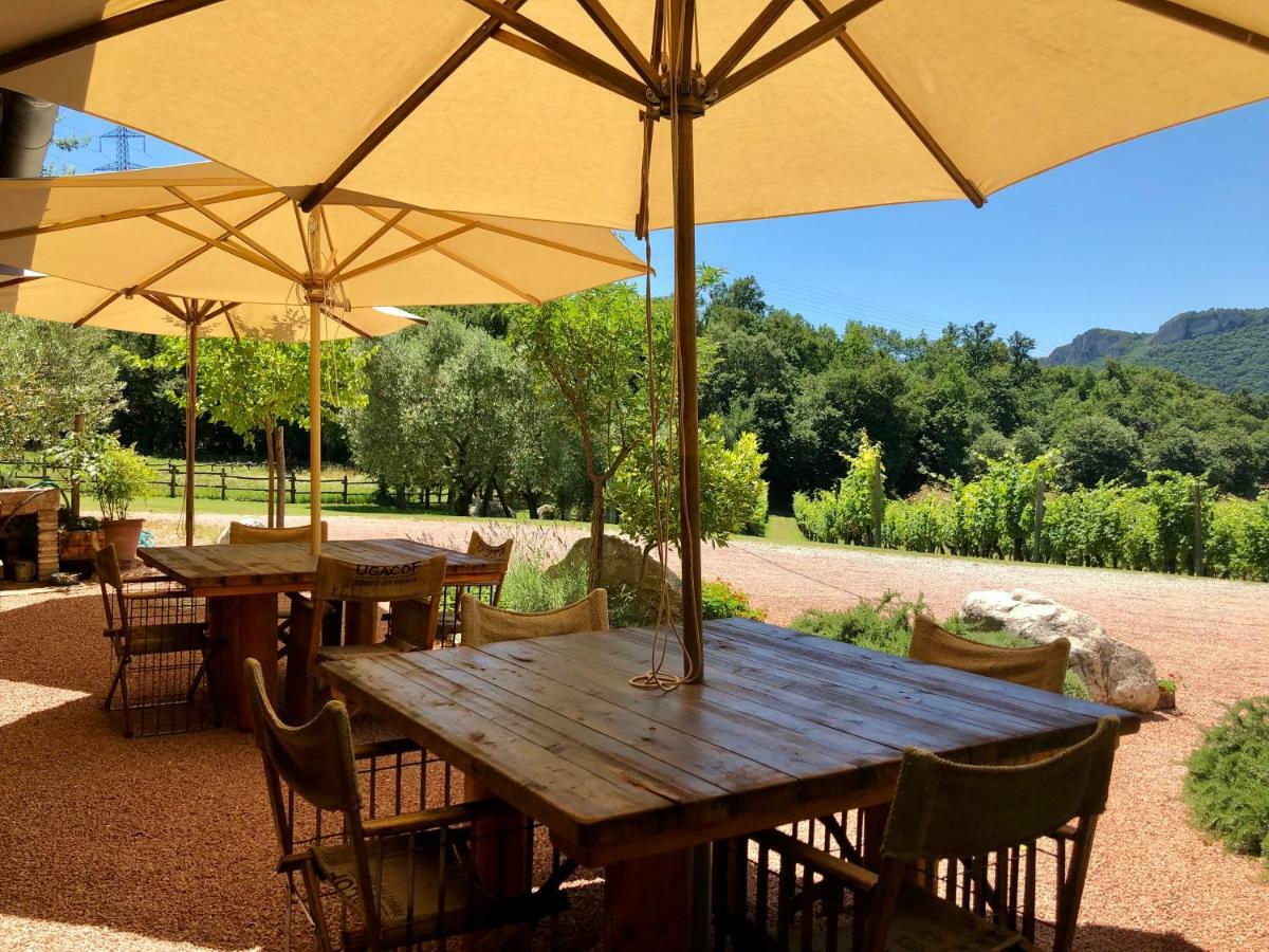 Serene Holiday And Wine Farm 아피 외부 사진